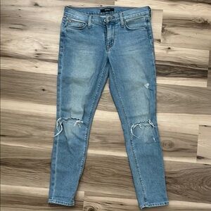 Hudson Jeans Blue Skinny Distressed Denim